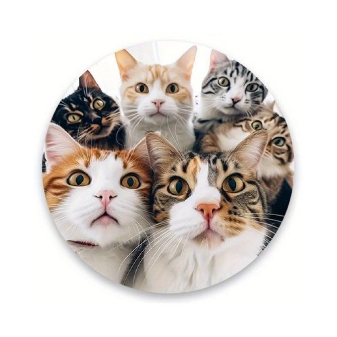 Tapis de souris rond  5 chats.