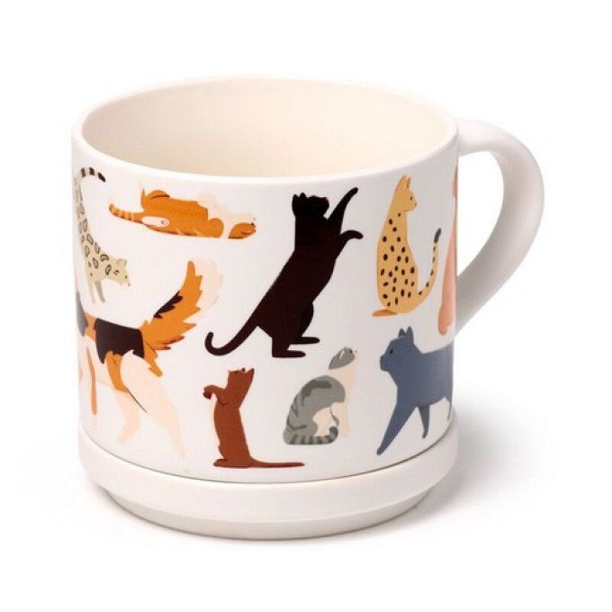 Ensemble Mug Porcelaine & Dessous de Tasse - Feline Fine Chats 