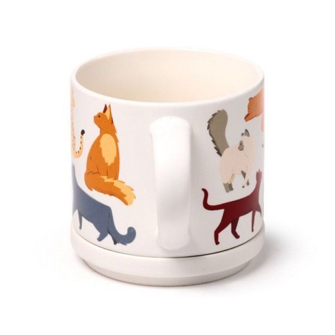 Ensemble Mug Porcelaine & Dessous de Tasse - Feline Fine Chats 