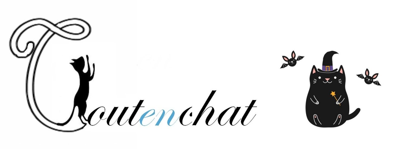 toutenchat.com